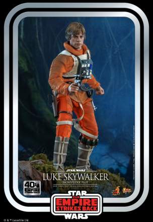 Star Wars - Luke Skywalker ( Snowspeeder  Pilot )