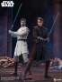 Anakin Skywalker Sixth Scale Figure