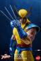 Wolverine Sixth Scale Figure